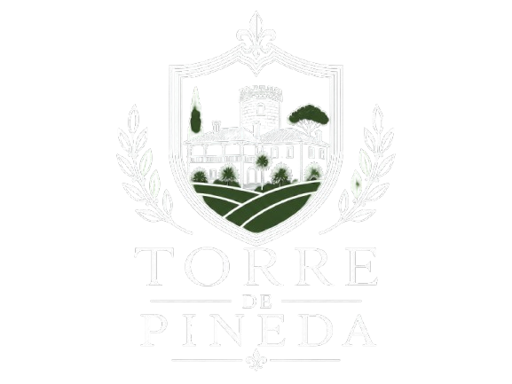 logo-dark-transparente